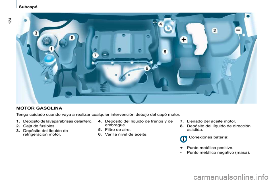 Peugeot Partner Tepee 2009  Manual del propietario (in Spanish) 124
   Subcapó   
  MOTOR GASOLINA   
4.    Depósito del líquido de frenos y de 
embrague. 
  
5.    Filtro de aire. 
  
6.    Varilla nivel de aceite.    
7.    Llenado del aceite motor. 
  
8.   