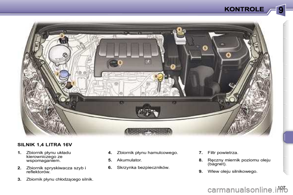 Peugeot 307 2007  Instrukcja Obsługi (in Polish) �1�0�7
�1�.�  �Z�b�i�o�r�n�i�k� �p�ł�y�n�u� �u�k�ł�a�d�u� �k�i�e�r�o�w�n�i�c�z�e�g�o� �z�e� �w�s�p�o�m�a�g�a�n�i�e�m�.
�2�.�  �Z�b�i�o�r�n�i�k� �s�p�r�y�s�k�i�w�a�c�z�a� �s�z�y�b� �i� �r�e�ﬂ�e�k�t