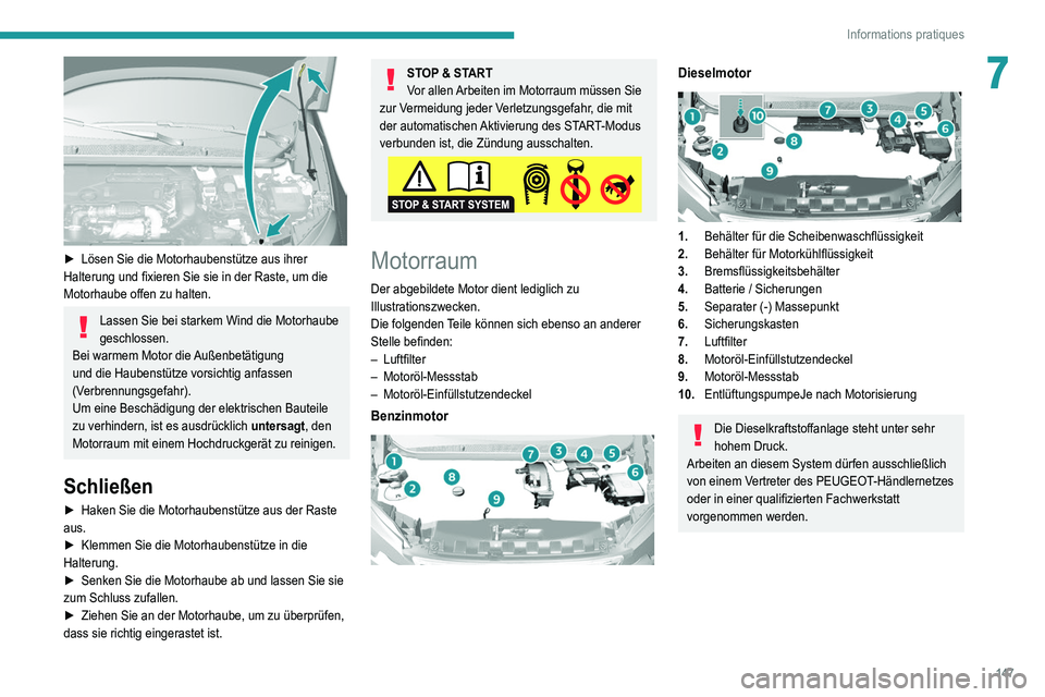 Peugeot 308 2021  Betriebsanleitung (in German) 147
Informations pratiques
7
 
► Lösen Sie die Motorhaubenstütze aus ihrer 
Halterung und fixieren Sie sie in der Raste, um die 
Motorhaube offen zu halten.
Lassen Sie bei starkem Wind die Motorha