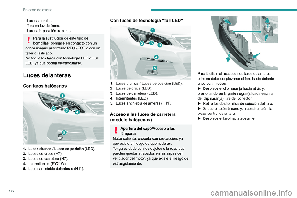 Peugeot 308 2021  Manual del propietario (in Spanish) 172
En caso de avería
– Luces laterales.
–  T ercera luz de freno.
–
 
Luces de posición traseras.
Para la sustitución de este tipo de 
bombillas, póngase en contacto con un 
concesionario a