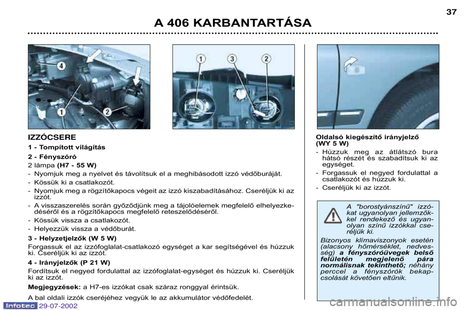 Peugeot 406 2002.5  Kezelési útmutató (in Hungarian) A "borostyánszínű"  izzó- 
kat ugyanolyan jellemzők-
kel  rendekező  és  ugyan-
olyan  színű  izzókkal  cse-
réljük ki. 
Bizonyos  klímaviszonyok  esetén
(alacsony  hőmérsékle