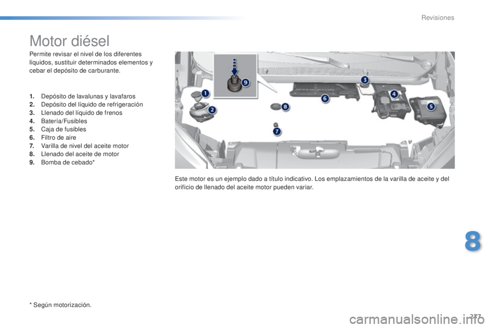 Peugeot 308 2015  Manual del propietario (in Spanish) 277
308_es_Chap08_verifications_ed01-2015
Permite revisar el nivel de los diferentes 
líquidos, sustituir determinados elementos y 
cebar el depósito de carburante.
* Según motorización.
Motor di