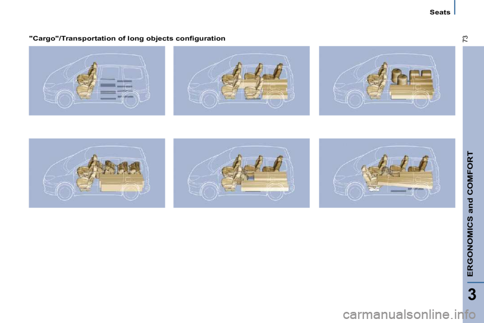 PEUGEOT 807 2010  Owners Manual ERGONOMICS and COMFORT
3
73
   Seats   
� � �"�C�a�r�g�o�"�/�T�r�a�n�s�p�o�r�t�a�t�i�o�n� �o�f� �l�o�n�g� �o�b�j�e�c�t�s� �c�o�n�ﬁ� �g�u�r�a�t�i�o�n� � �        