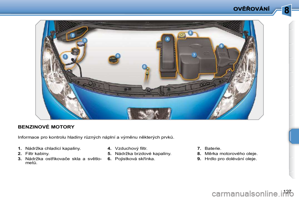 PEUGEOT 207 2010  Návod na použití (in Czech) 127
�B�E�N�Z�I�N�O�V�É� �M�O�T�O�R�Y� 
� �I�n�f�o�r�m�a�c�e� �p�r�o� �k�o�n�t�r�o�l�u� �h�l�a�d�i�n�y� �rA�z�n�ý�c�h� �n�á�p�l�n�í� �a� �v�ý�m)�n�u� �n)�k�t�e�r�ý�c�h� �p�r�v�kA�.� 
   
�1�.