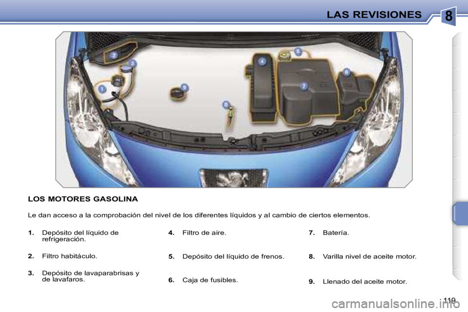 PEUGEOT 207 2006.5  Manual del propietario (in Spanish) �8�L�A�S� �R�E�V�I�S�I�O�N�E�S
�1�1�9
�L�O�S� �M�O�T�O�R�E�S� �G�A�S�O�L�I�N�A
�L�e� �d�a�n� �a�c�c�e�s�o� �a� �l�a� �c�o�m�p�r�o�b�a�c�i�ó�n� �d�e�l� �n�i�v�e�l� �d�e� �l�o�s� �d�i�f�e�r�e�n�t�e�s� 