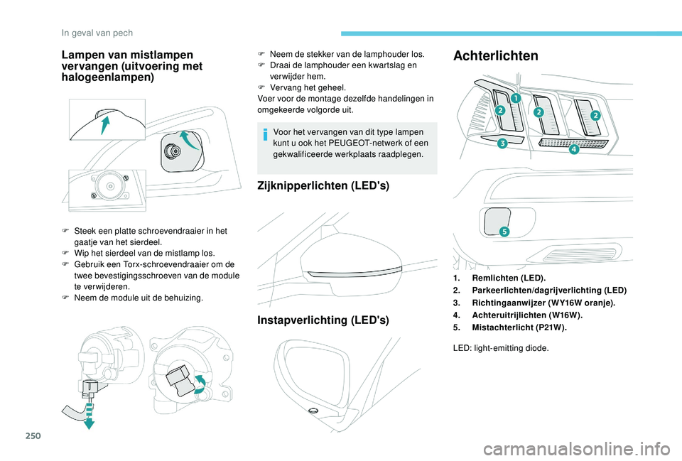 PEUGEOT 3008 2018  Instructieboekje (in Dutch) 250
Voor het ver vangen van dit type lampen 
kunt u ook het PEUGEOT-netwerk of een 
gekwalificeerde werkplaats raadplegen.
Zijknipperlichten (LED's)
Instapverlichting (LED's)
Achterlichten
1.R