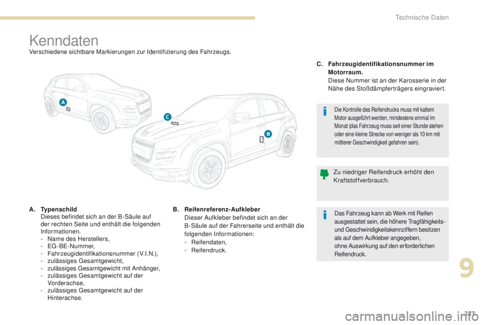 PEUGEOT 4008 2015  Betriebsanleitungen (in German) 233
4008_de_Chap09_caracteristiques-techniques_ed01-2016
KenndatenVerschiedene sichtbare Markierungen zur Identifizierung des Fahrzeugs.
A.
 T
ypenschild  
 D

ieses befindet sich an der B-Säule auf 