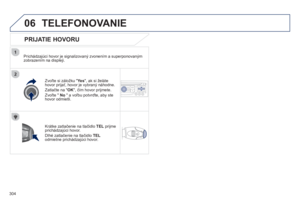 Page 306