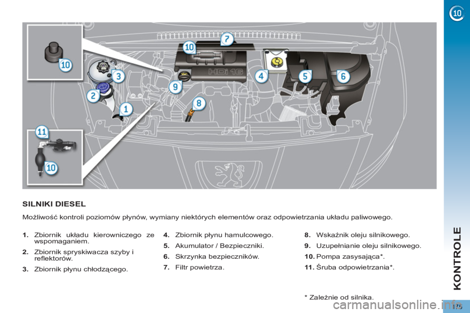 PEUGEOT 5008 2012  Instrukcja obsługi (in Polish) KONTROLE
175
SILNIKI DIESEL
  Możliwość kontroli poziomów płynów, wymiany niektórych elementów oraz odpowietrzania układu paliwowego. 
   
 
1. 
 Zbiornik układu kierowniczego ze 
wspomagani