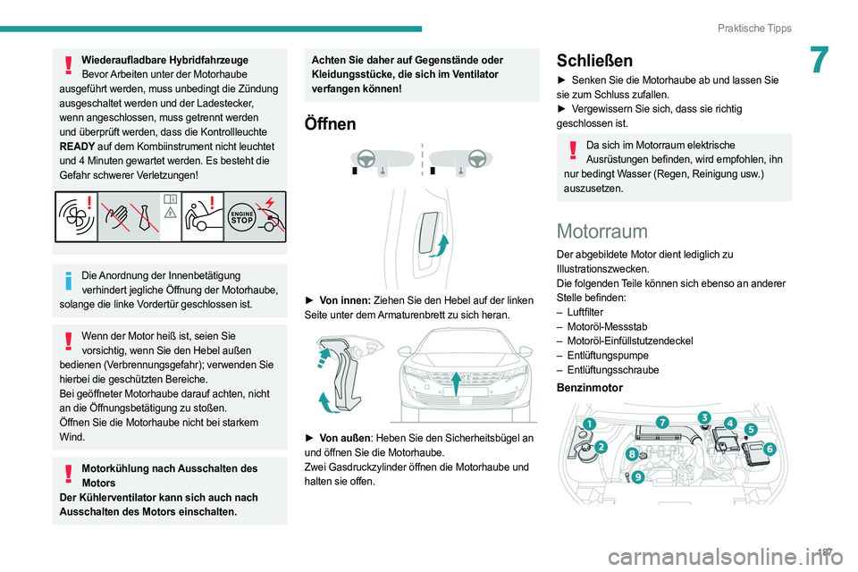 PEUGEOT 508 2021  Betriebsanleitungen (in German) 187
Praktische Tipps
7Wiederaufladbare HybridfahrzeugeBevor  Arbeiten unter der Motorhaube 
ausgeführt werden, muss unbedingt die Zündung 
ausgeschaltet werden und der Ladestecker, 
wenn angeschloss