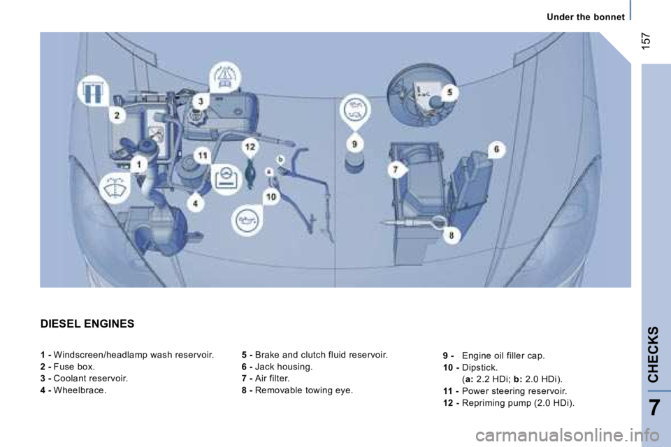 PEUGEOT 807 2007.5  Owners Manual �1�5�7
�U�n�d�e�r� �t�h�e� �b�o�n�n�e�t
�C�H�E�C�K�S
�7
�D�I�E�S�E�L� �E�N�G�I�N�E�S�5� �-� �B�r�a�k�e� �a�n�d� �c�l�u�t�c�h� �f�l�u�i�d� �r�e�s�e�r�v�o�i�r�.
�6� �-�  �J�a�c�k� �h�o�u�s�i�n�g�.
�7� �