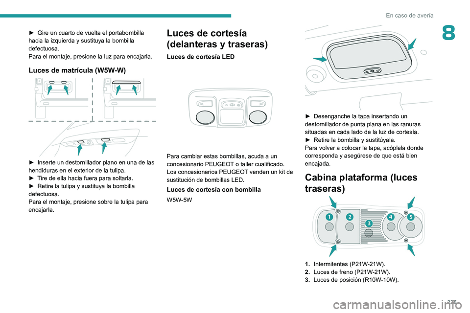 PEUGEOT EXPERT 2023  Manual del propietario (in Spanish) 235
En caso de avería
8► Gire un cuarto de vuelta el portabombilla 
hacia la izquierda y sustituya la bombilla 
defectuosa.
Para el montaje, presione la luz para encajarla.
Luces de matrícula (W5W