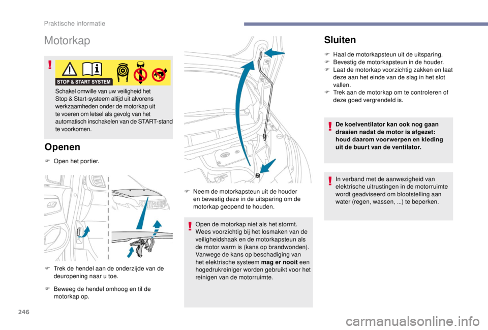 PEUGEOT EXPERT 2018 Instructieboekje (in Dutch) 246
Motorkap
Openen
F Trek de hendel aan de onderzijde van de deuropening naar u toe.
F
B
eweeg de hendel omhoog en til de
motorkap op. Open de motorkap niet als het stormt.
Wees voorzichtig bij h PEUGEOT EXPERT 2018 Instructieboekje (in Dutch) 246
Motorkap
Openen
F Trek de hendel aan de onderzijde van de deuropening naar u toe.
F
B
eweeg de hendel omhoog en til de
motorkap op. Open de motorkap niet als het stormt.
Wees voorzichtig bij h