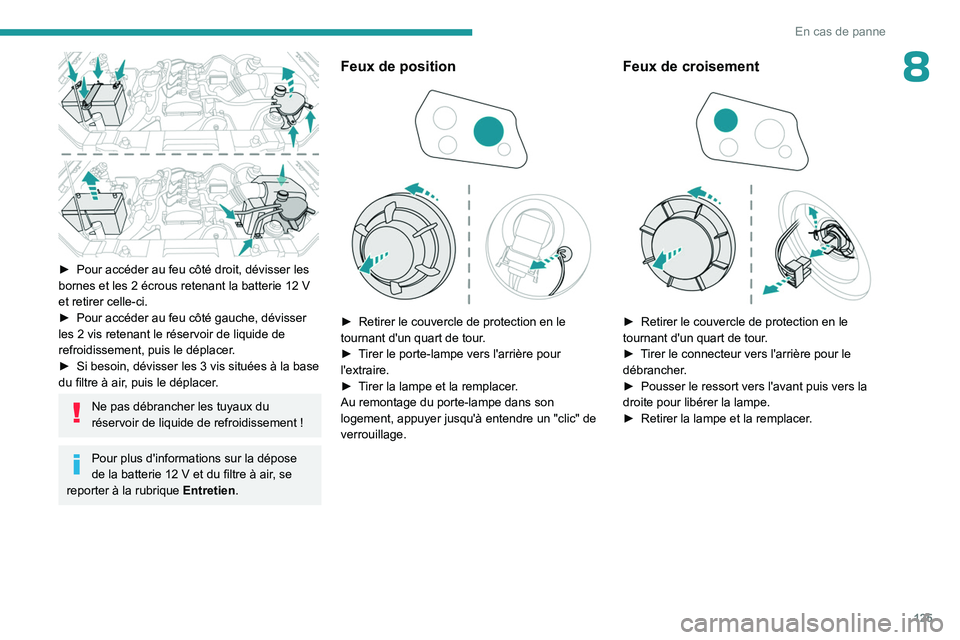 PEUGEOT LANDTREK 2023 Manuel du propriétaire (in French) 125
En cas de panne
8
► Pour accéder au feu côté droit, dévisser les
bornes et les 2 écrous retenant la batterie 12 V
et retirer celle-ci.
►
Pour accéder au feu côté gauche, dév PEUGEOT LANDTREK 2023 Manuel du propriétaire (in French) 125
En cas de panne
8
► Pour accéder au feu côté droit, dévisser les
bornes et les 2 écrous retenant la batterie 12 V
et retirer celle-ci.
►
Pour accéder au feu côté gauche, dév