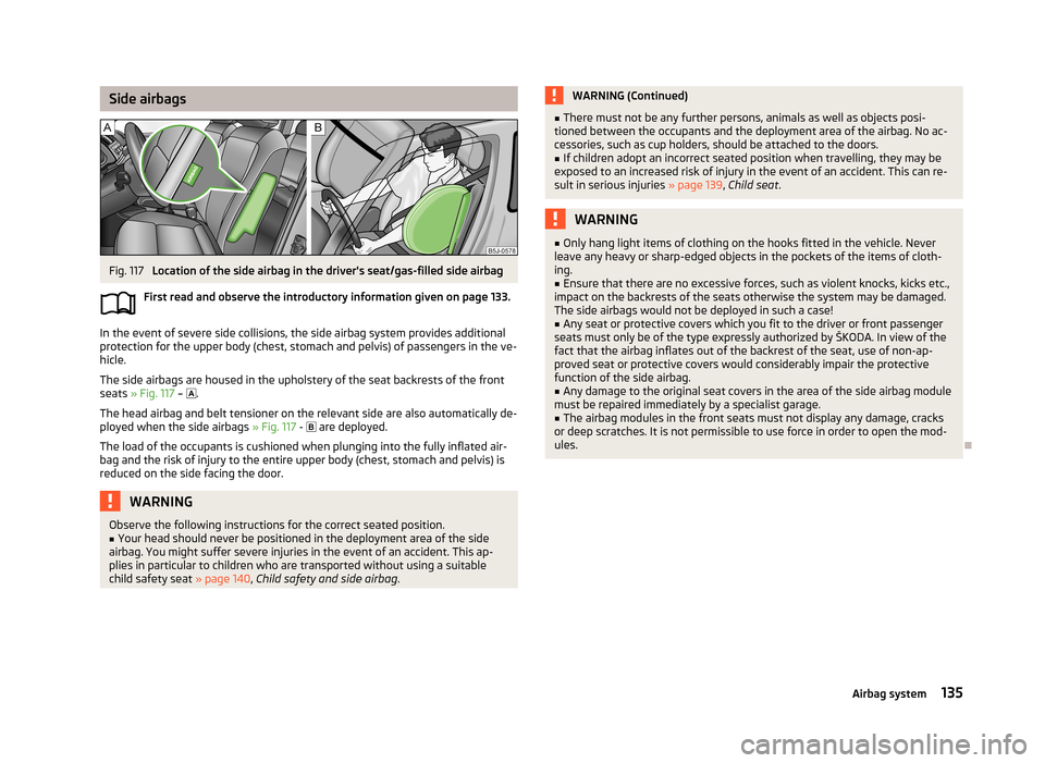 SKODA ROOMSTER 2013 1.G Owners Manual Side airbagsFig. 117
Location of the side airbag in the drivers seat/gas-filled side airbag
First read and observe the introductory information given on page 133.
In the event of severe side collisi SKODA ROOMSTER 2013 1.G Owners Manual Side airbagsFig. 117
Location of the side airbag in the drivers seat/gas-filled side airbag
First read and observe the introductory information given on page 133.
In the event of severe side collisi