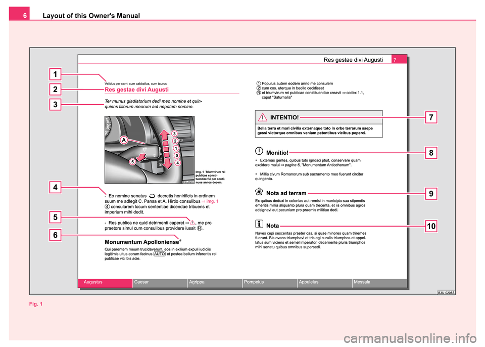 SKODA FABIA 2003 1.G / 6Y Owners Manual Layout of this Owners Manual
6
Fig. 1   