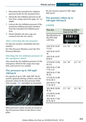 Page 251