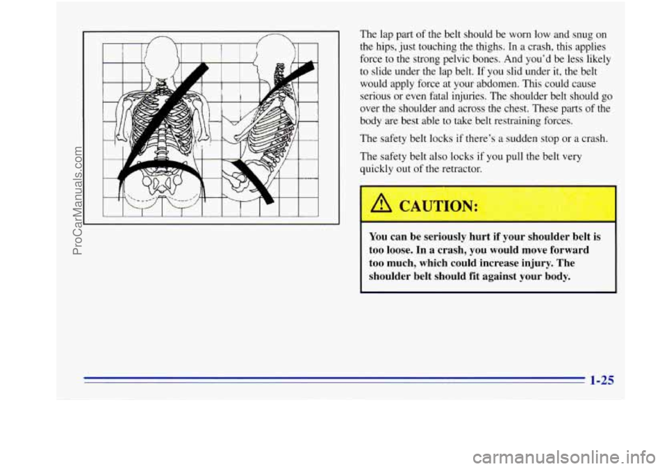 OLDSMOBILE BRAVADA 1996  Owners Manual n n 
I i 
The lap part of the  belt  should  be  worn  low  and  snug on 
the  hips,  just touching  the  thighs. In a crash,  this  applies 
force to  the strong  pelvic  bones.  And  you’d  be  le
