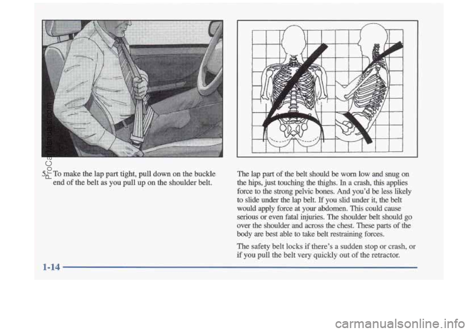 OLDSMOBILE CUTLASS 1997  Owners Manual 5. To  make  the  lap  part  tight,  pull  down  on  the  buckle end 
of the  belt  as  you  pull  up on the  shoulder  belt.  The  lap  part  of  the  belt  should  be  worn 
low and  snug  on 
the  