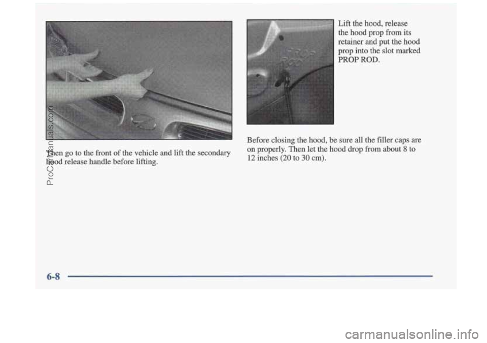 OLDSMOBILE CUTLASS 1997  Owners Manual Then go to  the  front of the  vehicle  and  lift  the  secondary 
hood  release  handle  before  lifting.  Lift  the 
hood, release 
the hood  prop  from 
its 
retainer  and  put  the  hood 
prop  in