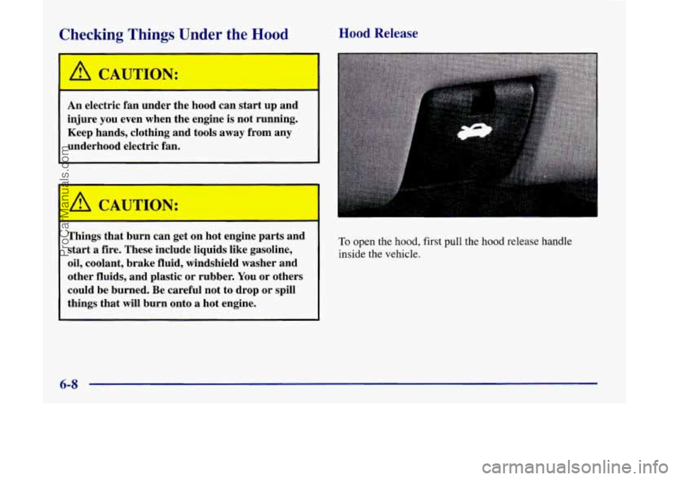 OLDSMOBILE SILHOUETTE 1998  Owners Manual Checking  Things Under the Hood 
I 
A CAUTION: I 
An electric fan under the  hood can start  up  and 
injure  you  even  when  the engine  is  not  running. 
Keep  hands,  clothing  and tools  away  f