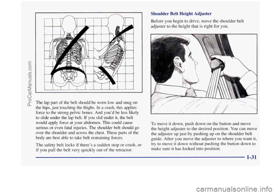 OLDSMOBILE SILHOUETTE 1998 Owners Manual The lap part of the belt should be worn low and snug on
the hips, just touching
the thighs. In a crash, this applies
force to the strong pelvic bones. And youd be less likely OLDSMOBILE SILHOUETTE 1998 Owners Manual The lap part of the belt should be worn low and snug on
the hips, just touching
the thighs. In a crash, this applies
force to the strong pelvic bones. And youd be less likely
