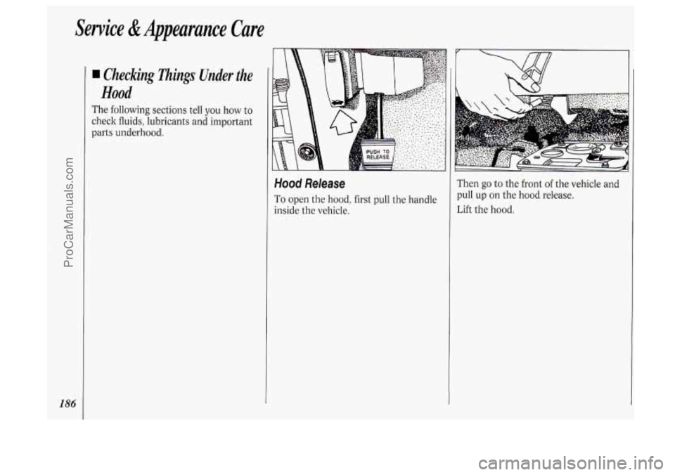 OLDSMOBILE SILHOUETTE 1994  Owners Manual Service & Appeurunce  Care 
186 
Checking  Things  Under  the 
Hood 
The following  sections tell  you  how  to 
check fluids,  lubricants  and  important 
parts  underhood. 
Hood Release 
To  open  t