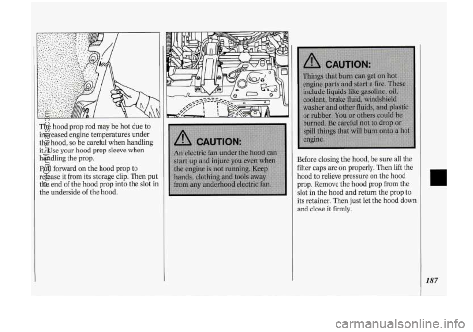 OLDSMOBILE SILHOUETTE 1994  Owners Manual The  hood  prop  rod may be hot  due  to 
increased  engine  temperatures  under  the  hood, 
so be careful  when  handling 
it.  Use  your  hood  prop  sleeve when 
handling  the prop. 
Pull forward 