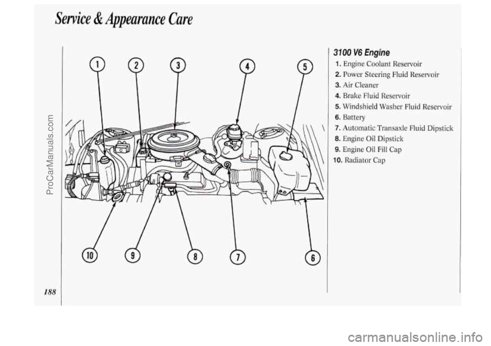 OLDSMOBILE SILHOUETTE 1994  Owners Manual Service &Appearance  Care 
3100 V6 Engine 
1. Engine  Coolant  Reservoir 
2. Power  Steering  Fluid  Reservoir 
3. Air  Cleaner 
4. Brake Fluid Reservoir 
5. Windshield  Washer  Fluid  Reservoi 
6. Ba