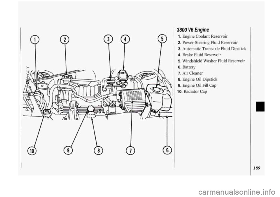 OLDSMOBILE SILHOUETTE 1994  Owners Manual P 
3800 V6 Engine 
1. Engine Coolant Reservoir 
2. Power Steering  Fluid Reservoir 
3. Automatic  Transaxle  Fluid Dipstick 
4. Brake  Fluid  Reservoir 
5. Windshield Washer  Fluid Reservoir 
6. Batte