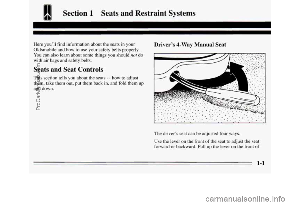 OLDSMOBILE SILHOUETTE 1995  Owners Manual 11111 11BI 
Section 1 Seats  and  Restraint  Systems 
Here you’ll  find information  about the seats in your 
Oldsmobile  and  how 
to use your safety belts properly. 
You  can also  learn 
about so