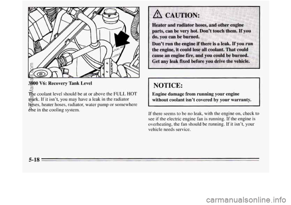 OLDSMOBILE SILHOUETTE 1995  Owners Manual 3800 V6: Recovery  Tank  Level 
l I I 
The coolant level should  be  at  or above the FULL HOT 
mark. If it isn’t,  you  may  have a  leak  in the radiator 
hoses, heater hoses, radiator, water pump