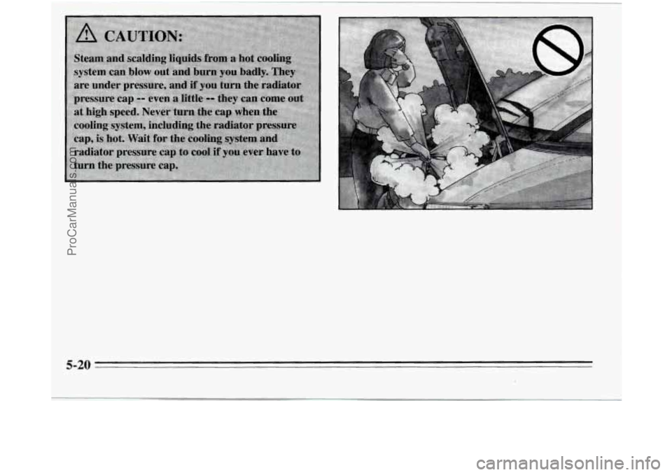 OLDSMOBILE SILHOUETTE 1995  Owners Manual 5-20 
ProCarManuals.com 
