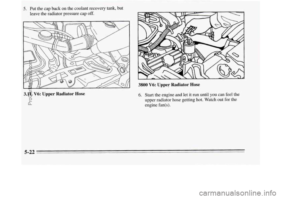 OLDSMOBILE SILHOUETTE 1995  Owners Manual 3.lL V6: Upper Radiator Hose 
5. plTt the cap  back on the coolant recovery tank, but 
leave .the radi@or pres- cap off. 
3800 V6: Upper: * Radiator Hose 
6. Start  the engine and  let  it run until 