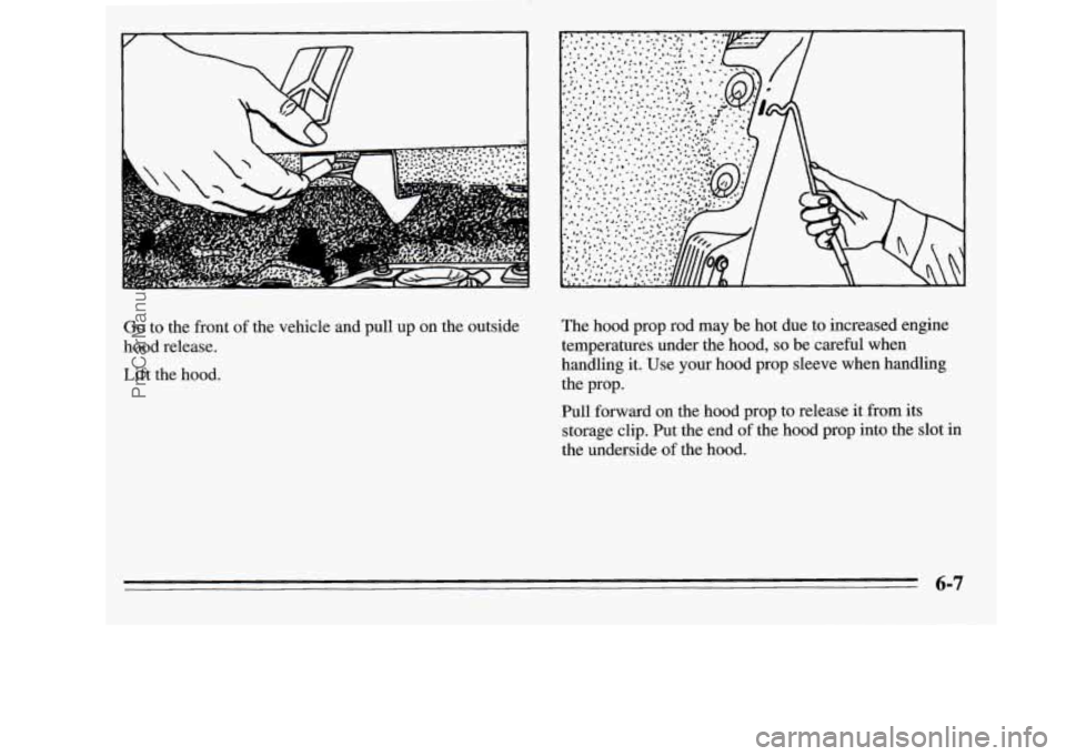 OLDSMOBILE SILHOUETTE 1995  Owners Manual r 
Go to the  front  of the  vehicle and  pull  up on the  outside 
hood  release. 
Lift  the  hood.  The 
hood prop rod may  be hot  due  to  increased  engine 
temperatures under  the hood, 
so be c