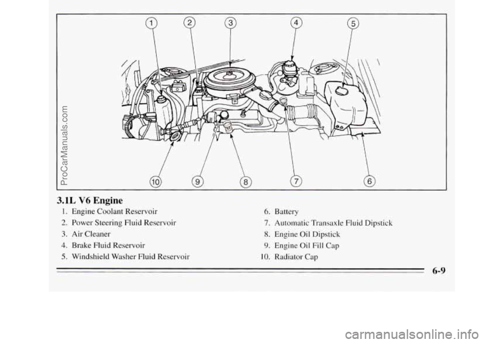 OLDSMOBILE SILHOUETTE 1995  Owners Manual 3.1L V6 Engine 
1. Engine Coolant Reservoir 
2. Power Steering Fluid Reservoir 
3. Air Cleaner 
4. Brake Fluid Reservoir 
5. Windshield Washer Fluid Reservoir 
6. Battery 
7. Automatic Transaxle  Flui