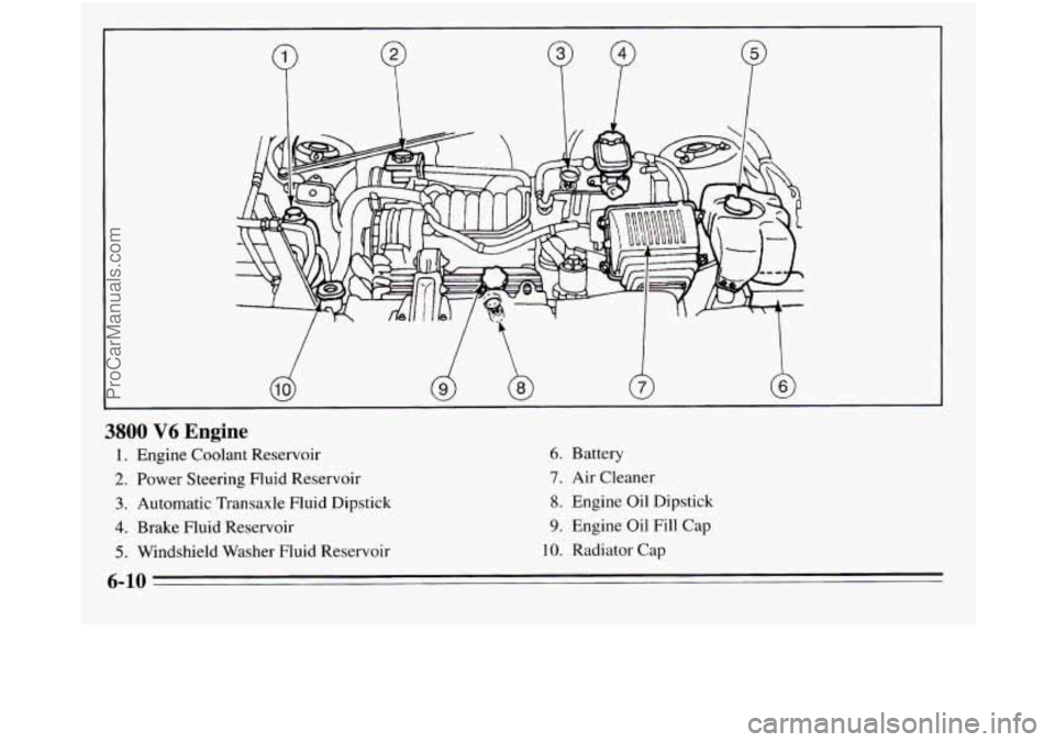 OLDSMOBILE SILHOUETTE 1995  Owners Manual P 
3800 V6 Engine 
1. Engine Coolant Reservoir 6. Battery 
2. Power Steering Fluid  Reservoir 7. Air Cleaner 
3. Automatic Transaxle  Fluid Dipstick 8. Engine Oil Dipstick 
4. Brake  Fluid Reservoir 9