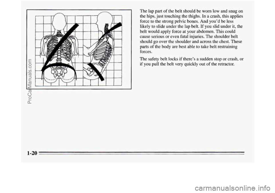 OLDSMOBILE SILHOUETTE 1995  Owners Manual The  lap part of the belt should be worn low and snug on 
the hips,  just touching the thighs. In  a crash, this applies 
force to the strong pelvic bones. And you’d  be less 
likely to slide under 