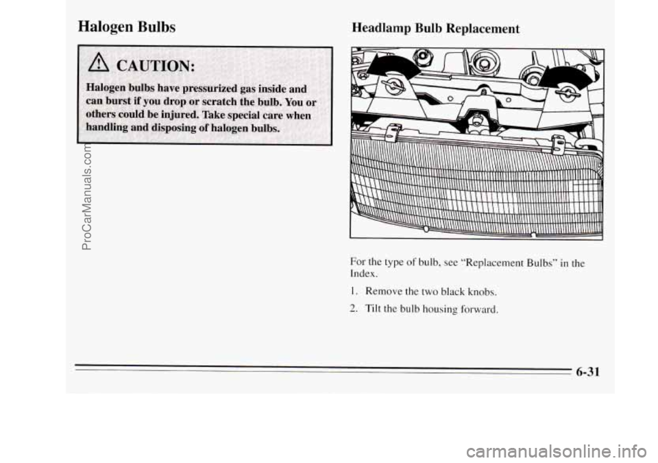 OLDSMOBILE SILHOUETTE 1995  Owners Manual Halogen bulbs Headlamp  Bulb  Replacement 
For the type of bulb, see “Replacement Bulbs” in the 
Index. 
1. Remove the two black  knobs. 
2. Tilt the bulb housing forward. 
6-31 
ProCarManuals.com