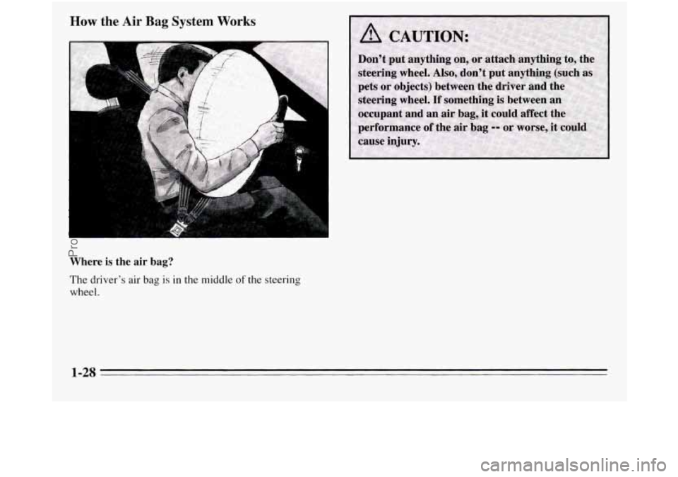 OLDSMOBILE SILHOUETTE 1995  Owners Manual How the Air Bag System Works 
I 
Where is the air bag? 
The driver’s air bag is in the middle of the steering 
wheel. 
. -2s 
ProCarManuals.com 