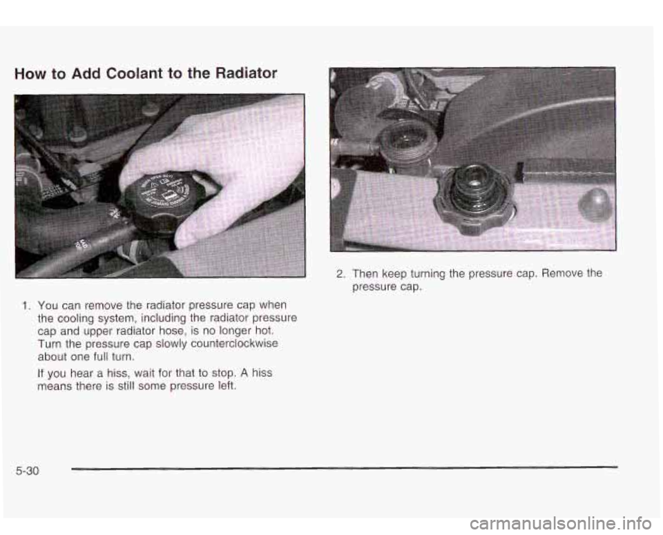 Oldsmobile Bravada 2003  Owners Manuals How to Add  Coolant to the Radiator 
1. You can remove  the  radiator pressure cap when 
the  cooling system,  including the  radiator pressure 
cap  and  upper  radiator hose,  is no longer hot. 
Tur