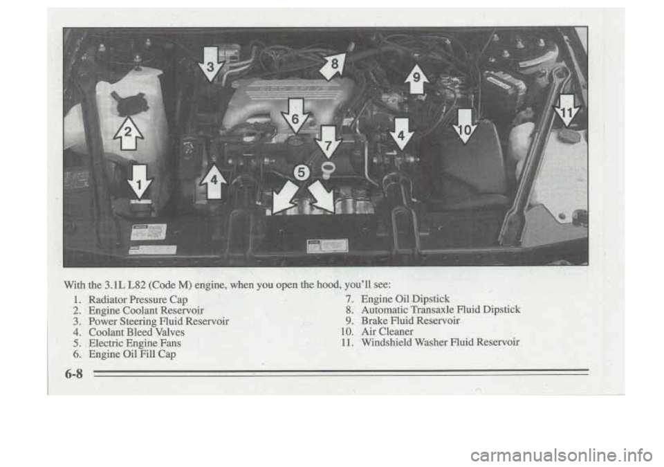 Oldsmobile Cutlass Supreme 1995  Owners Manuals 