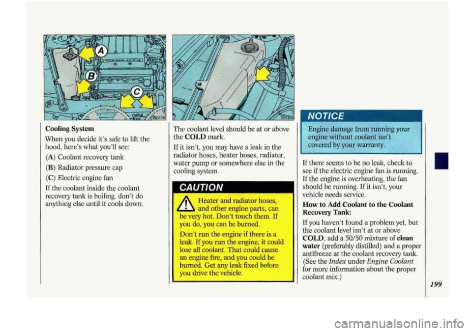 Oldsmobile Cutlass Supreme 1993 Owners Manuals Cooling System
When you decide it’s safe to lift the
hood, here’s what you’ll see:
(A) Coolant recovery tank
(B) Radiator pressure cap
(C) Electric engine fan
If the coolant Oldsmobile Cutlass Supreme 1993 Owners Manuals Cooling System
When you decide it’s safe to lift the
hood, here’s what you’ll see:
(A) Coolant recovery tank
(B) Radiator pressure cap
(C) Electric engine fan
If the coolant