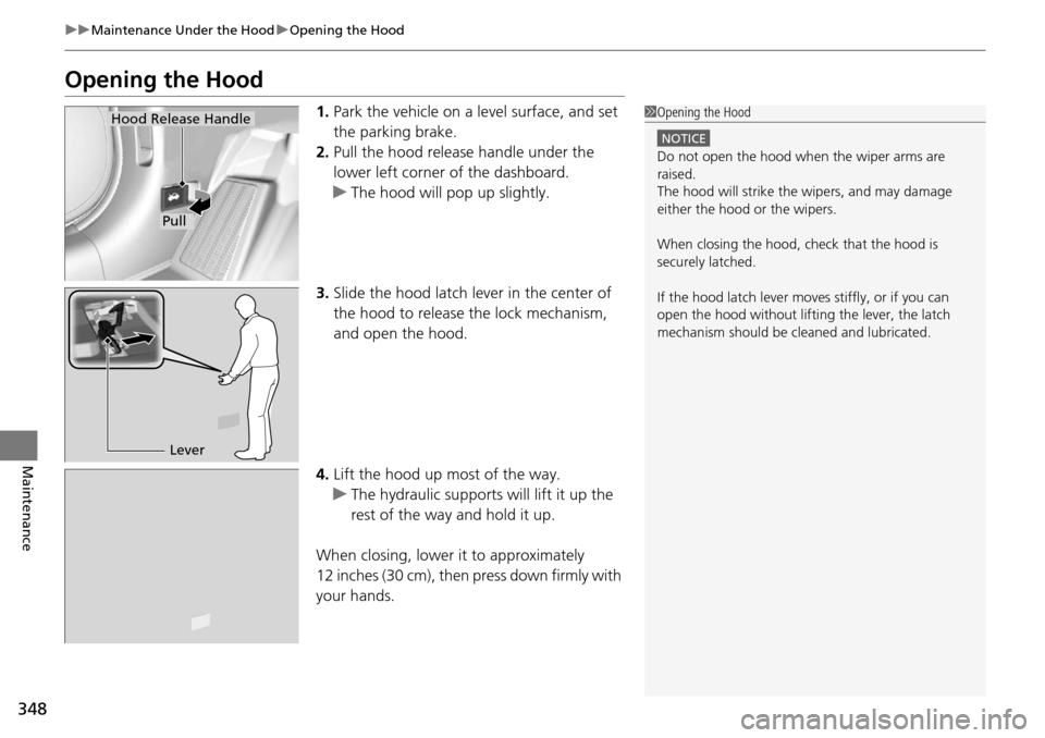Acura RDX 2016  Owners Manual 348
uuMaintenance Under the Hood uOpening the Hood
Maintenance
Opening the Hood
1. Park the vehicle on a level surface, and set 
the parking brake.
2. Pull the hood release handle under the 
lower lef