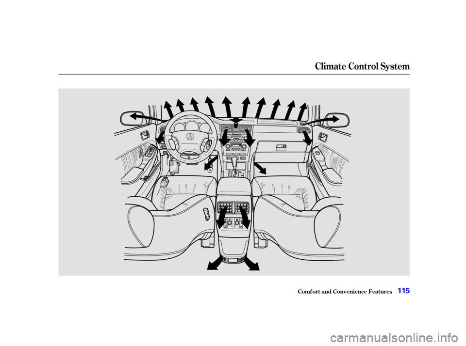 Acura RL 2002  3.5 Owners Manual Climat e Cont rol Syst em
Comf ort and Convenience Feat ures115
01/09/28 19:43:32 31SZ3660_118 