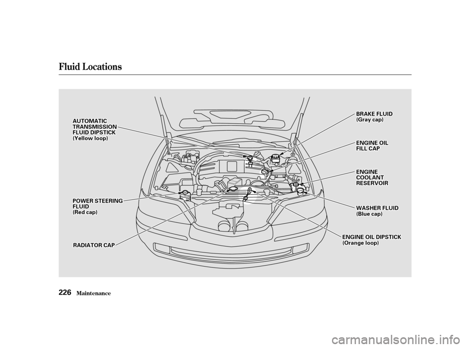 Acura RL 2002  3.5 Owners Manual Fluid Locations
Maint enance226
A
AU
UT TO
OM M A
AT
TI
ICC
T
T R
RA A N
NS SMM I
ISSS SIIOON N
F
FL LUUI IDD D
DI
IPP S
ST TI
ICCK K
(
( Y
Ye elllloo w
w l
loo o
op
p)
)
P
P O
OW WE ER
R S
STTE
EE
ER