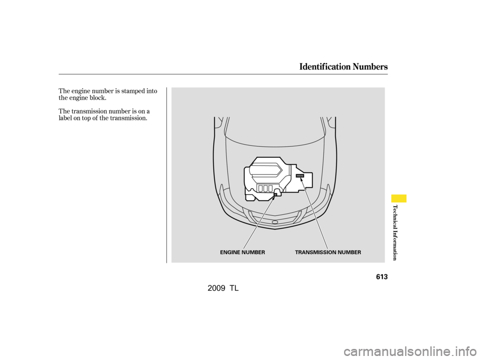 Acura TL 2009  Owners Manual The transmission number is on a 
label on top of the transmission. 
The engine number is stamped into 
the engine block.
Identif ication Numbers
Technical Inf ormation
613
TRANSMISSION NUMBER
ENGINE N