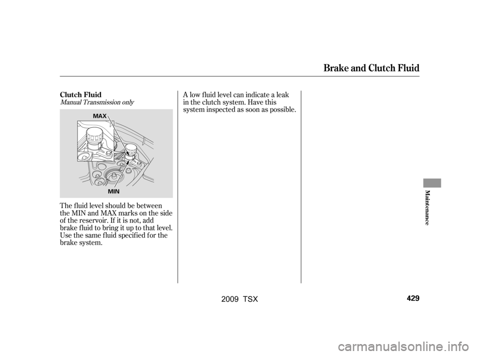 Acura TSX 2009  Owners Manual The f luid level should be between 
theMINandMAXmarksontheside
of the reservoir. If it is not, add 
brake f luid to bring it up to that level. 
Use the same fluid specified for the
brake system.A low 