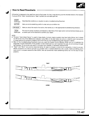Page 251