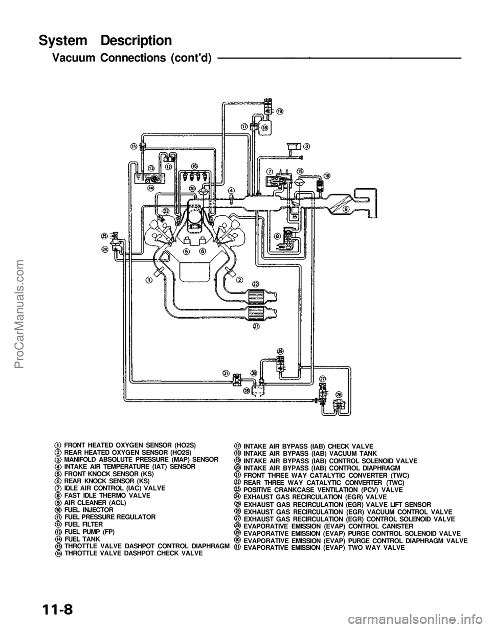 ACURA NSX 1991  Service Repair Manual 
System Description
Vacuum Connections (cont'd)
FRONT HEATED OXYGEN SENSOR (HO2S)
REAR HEATED OXYGEN SENSOR (HO2S)
MANIFOLD ABSOLUTE PRESSURE (MAP) SENSORINTAKE AIR TEMPERATURE (IAT) SENSOR
FRONT 